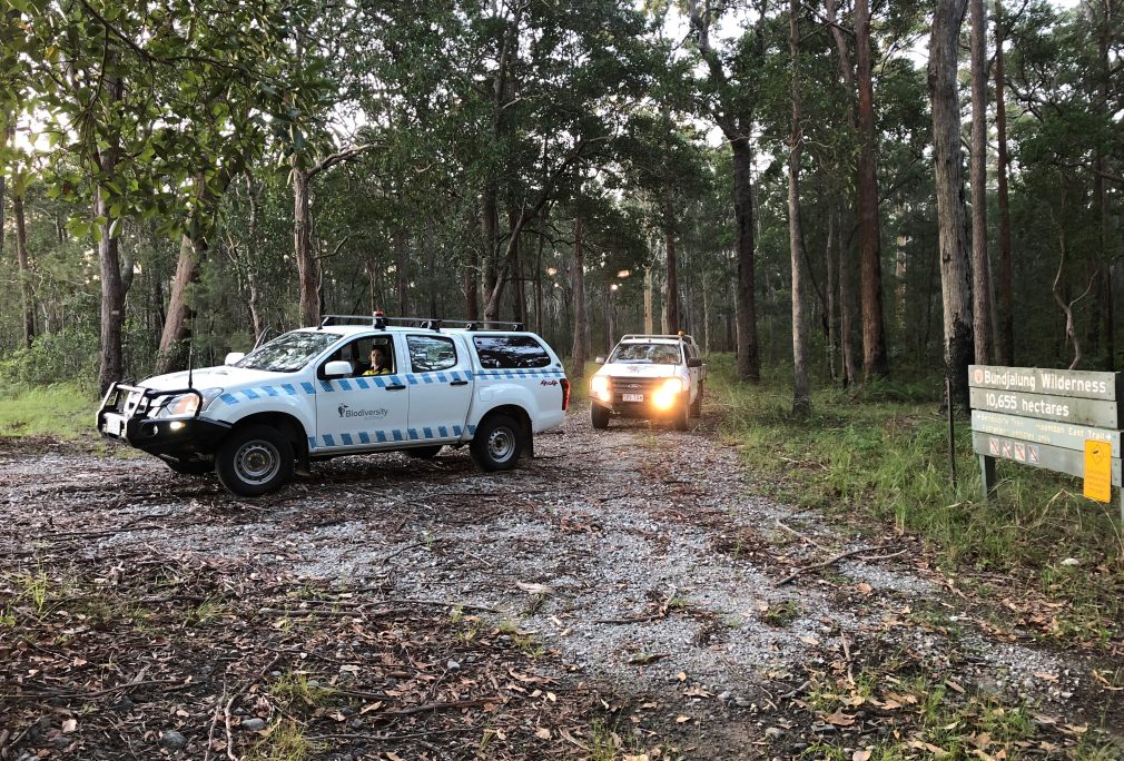 NSW Koala Likelihood Map Update Field Survey Program