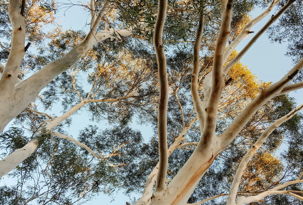 Annual Biodiversity Monitoring