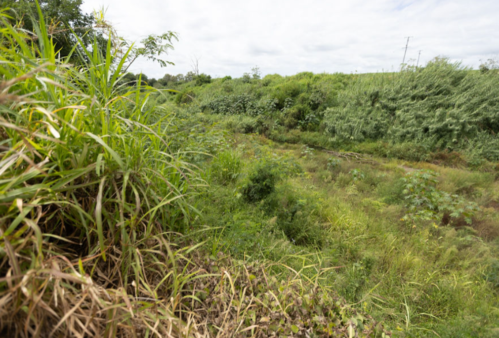 Lockyer Valley Creek Restoration Program